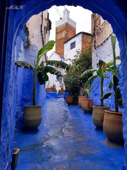 Usha Guest House Chefchaouen Esterno foto